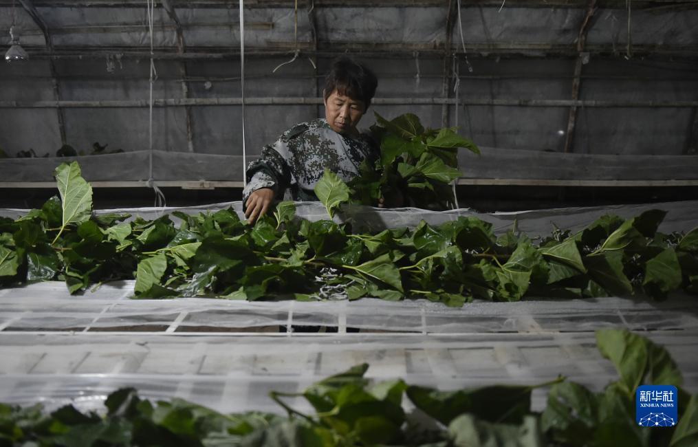微乐斗地主电脑版八喜牌